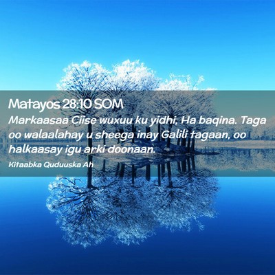 Picture 02 - Matayos 28:10 SOM - Markaasaa Ciise wuxuu ku yidhi, Ha baqina. Taga - Bible Verse Picture