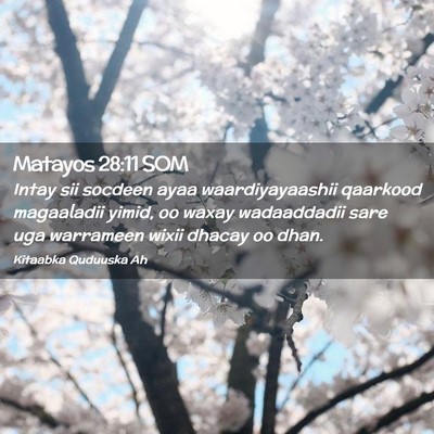 Picture 02 - Matayos 28:11 SOM - Intay sii socdeen ayaa waardiyayaashii qaarkood - Bible Verse Picture