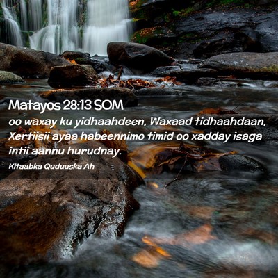 Picture 02 - Matayos 28:13 SOM - oo waxay ku yidhaahdeen, Waxaad tidhaahdaan, - Bible Verse Picture