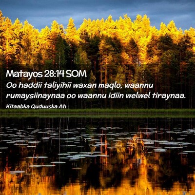 Picture 02 - Matayos 28:14 SOM - Oo haddii taliyihii waxan maqlo, waannu - Bible Verse Picture