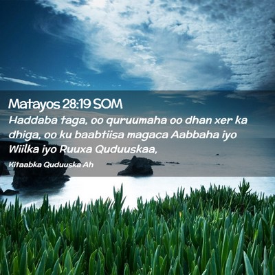 Picture 02 - Matayos 28:19 SOM - Haddaba taga, oo quruumaha oo dhan xer ka dhiga, - Bible Verse Picture