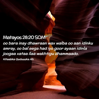 Picture 02 - Matayos 28:20 SOM - oo bara inay dhawraan wax walba oo aan idinku - Bible Verse Picture