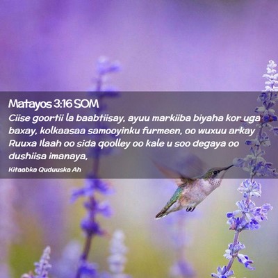 Picture 02 - Matayos 3:16 SOM - Ciise goortii la baabtiisay, ayuu markiiba biyaha - Bible Verse Picture