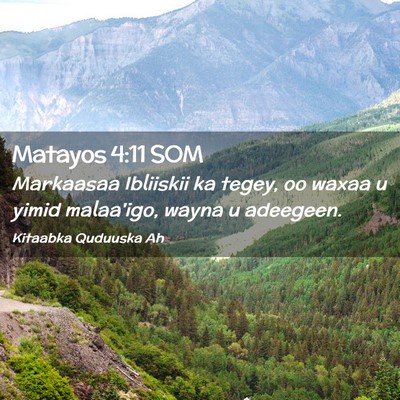 Picture 02 - Matayos 4:11 SOM - Markaasaa Ibliiskii ka tegey, oo waxaa u yimid - Bible Verse Picture