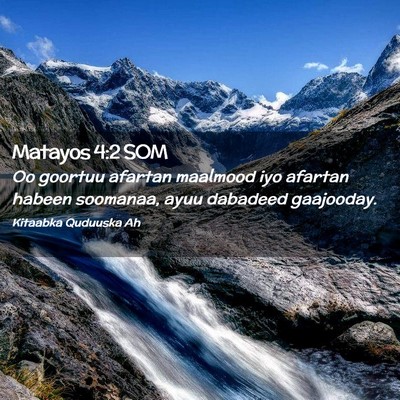 Picture 02 - Matayos 4:2 SOM - Oo goortuu afartan maalmood iyo afartan habeen - Bible Verse Picture