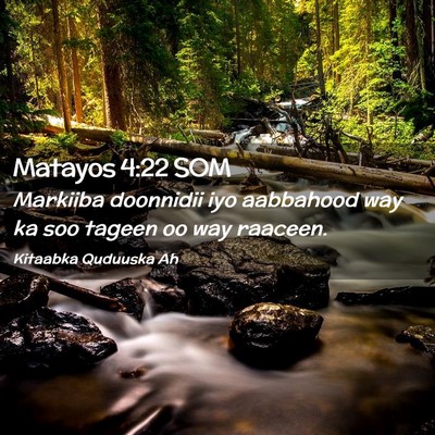 Picture 02 - Matayos 4:22 SOM - Markiiba doonnidii iyo aabbahood way ka soo - Bible Verse Picture