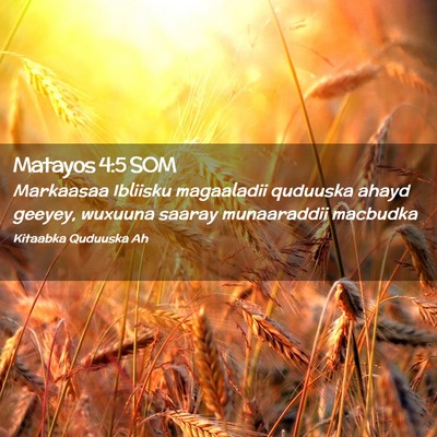 Picture 02 - Matayos 4:5 SOM - Markaasaa Ibliisku magaaladii quduuska ahayd - Bible Verse Picture