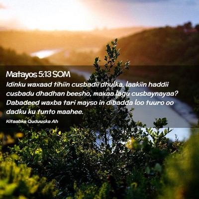 Picture 02 - Matayos 5:13 SOM - Idinku waxaad tihiin cusbadii dhulka, laakiin - Bible Verse Picture