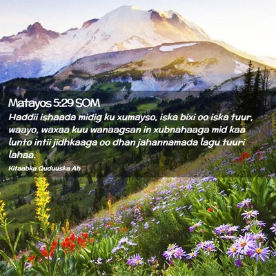 Picture 02 - Matayos 5:29 SOM - Haddii ishaada midig ku xumayso, iska bixi oo - Bible Verse Picture