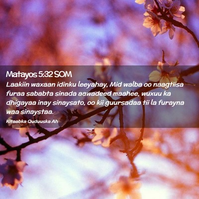 Picture 02 - Matayos 5:32 SOM - Laakiin waxaan idinku leeyahay, Mid walba oo - Bible Verse Picture