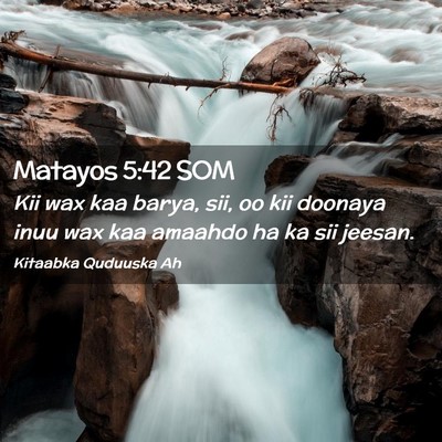 Picture 02 - Matayos 5:42 SOM - Kii wax kaa barya, sii, oo kii doonaya inuu wax - Bible Verse Picture