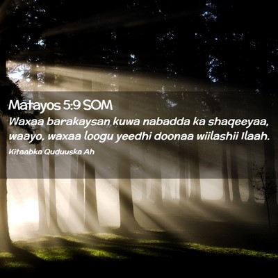 Picture 02 - Matayos 5:9 SOM - Waxaa barakaysan kuwa nabadda ka shaqeeyaa, - Bible Verse Picture