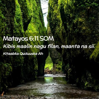 Picture 02 - Matayos 6:11 SOM - Kibis maalin nagu filan, maanta na - Bible Verse Picture