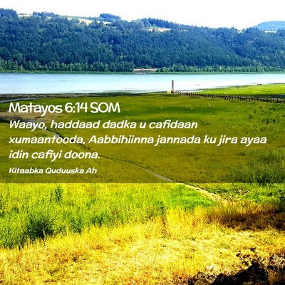 Picture 02 - Matayos 6:14 SOM - Waayo, haddaad dadka u cafidaan xumaantooda, - Bible Verse Picture