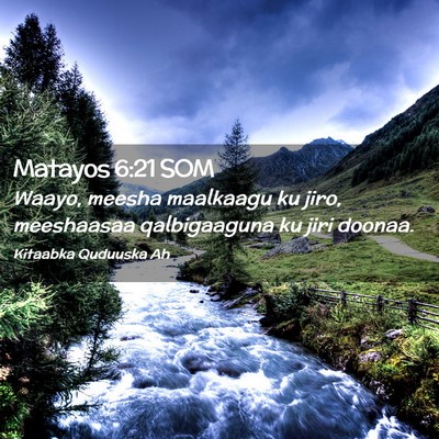 Picture 02 - Matayos 6:21 SOM - Waayo, meesha maalkaagu ku jiro, meeshaasaa - Bible Verse Picture