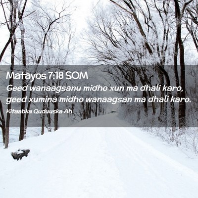 Picture 02 - Matayos 7:18 SOM - Geed wanaagsanu midho xun ma dhali karo, geed - Bible Verse Picture