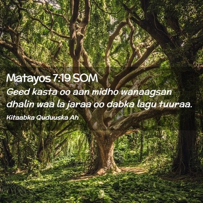 Picture 02 - Matayos 7:19 SOM - Geed kasta oo aan midho wanaagsan dhalin waa la - Bible Verse Picture