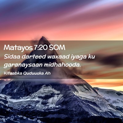 Picture 02 - Matayos 7:20 SOM - Sidaa darteed waxaad iyaga ku garanaysaan - Bible Verse Picture
