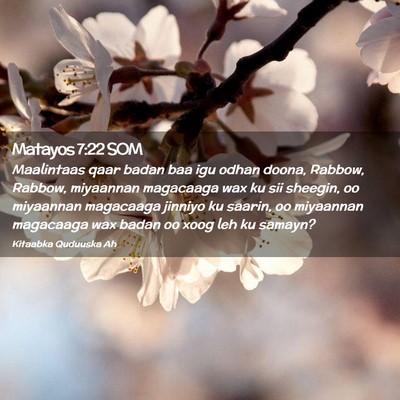 Picture 02 - Matayos 7:22 SOM - Maalintaas qaar badan baa igu odhan doona, - Bible Verse Picture