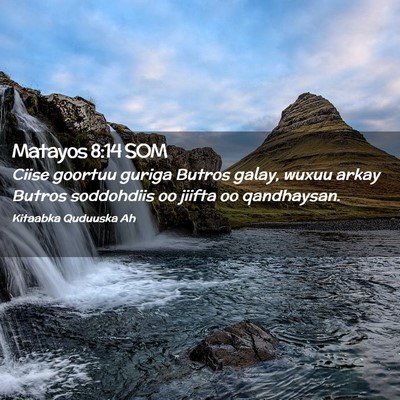 Picture 02 - Matayos 8:14 SOM - Ciise goortuu guriga Butros galay, wuxuu arkay - Bible Verse Picture