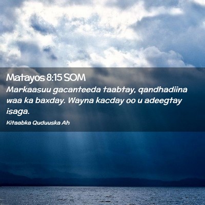 Picture 02 - Matayos 8:15 SOM - Markaasuu gacanteeda taabtay, qandhadiina waa ka - Bible Verse Picture