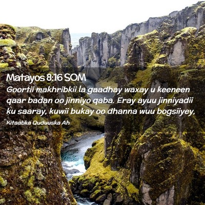 Picture 02 - Matayos 8:16 SOM - Goortii makhribkii la gaadhay waxay u keeneen - Bible Verse Picture