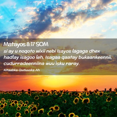 Picture 02 - Matayos 8:17 SOM - si ay u noqoto wixii nebi Isayos lagaga dhex - Bible Verse Picture