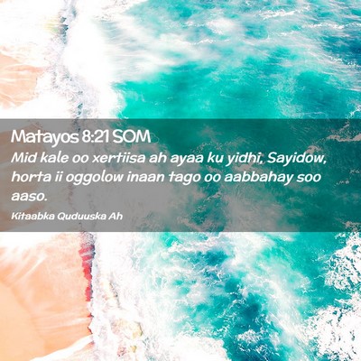 Picture 02 - Matayos 8:21 SOM - Mid kale oo xertiisa ah ayaa ku yidhi, Sayidow, - Bible Verse Picture