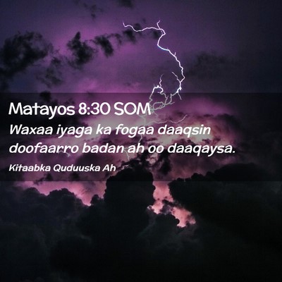 Picture 02 - Matayos 8:30 SOM - Waxaa iyaga ka fogaa daaqsin doofaarro badan ah - Bible Verse Picture