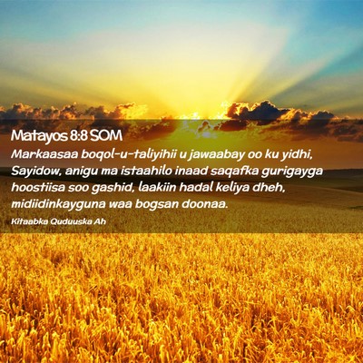 Picture 02 - Matayos 8:8 SOM - Markaasaa boqol-u-taliyihii u jawaabay oo ku - Bible Verse Picture