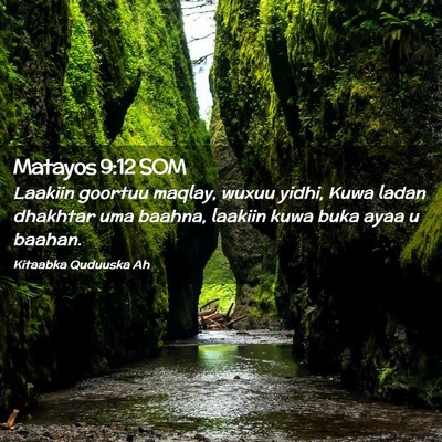 Picture 02 - Matayos 9:12 SOM - Laakiin goortuu maqlay, wuxuu yidhi, Kuwa ladan - Bible Verse Picture