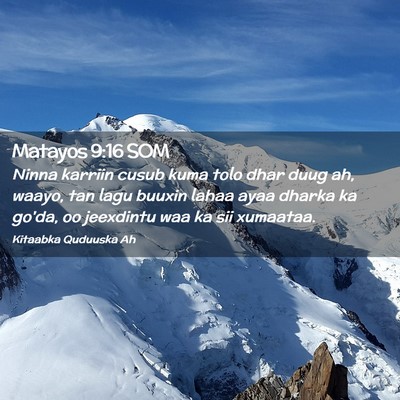 Picture 02 - Matayos 9:16 SOM - Ninna karriin cusub kuma tolo dhar duug ah, - Bible Verse Picture