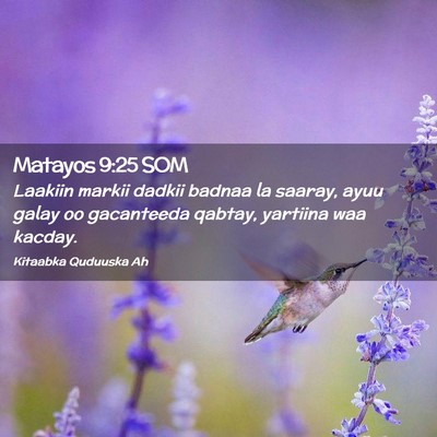 Picture 02 - Matayos 9:25 SOM - Laakiin markii dadkii badnaa la saaray, ayuu - Bible Verse Picture