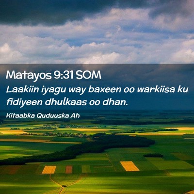 Picture 02 - Matayos 9:31 SOM - Laakiin iyagu way baxeen oo warkiisa ku fidiyeen - Bible Verse Picture