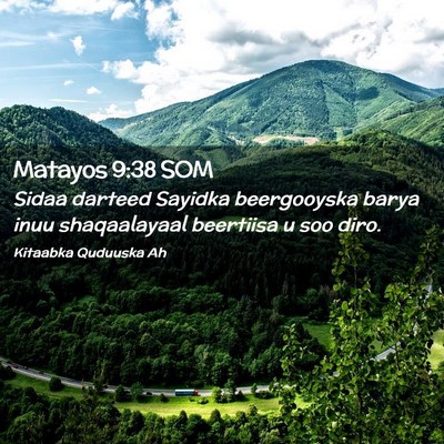 Picture 02 - Matayos 9:38 SOM - Sidaa darteed Sayidka beergooyska barya inuu - Bible Verse Picture