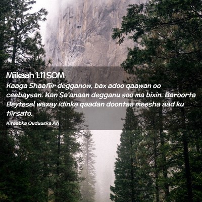 Picture 02 - Miikaah 1:11 SOM - Kaaga Shaafiir degganow, bax adoo qaawan oo - Bible Verse Picture