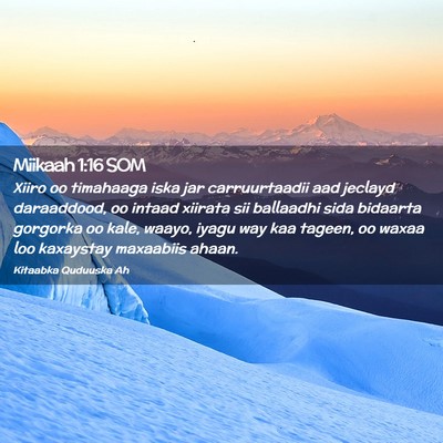 Picture 02 - Miikaah 1:16 SOM - Xiiro oo timahaaga iska jar carruurtaadii aad - Bible Verse Picture