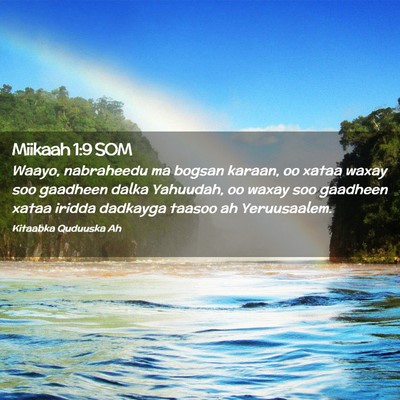 Picture 02 - Miikaah 1:9 SOM - Waayo, nabraheedu ma bogsan karaan, oo xataa - Bible Verse Picture