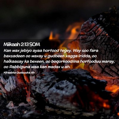Picture 02 - Miikaah 2:13 SOM - Kan wax jebiyo ayaa hortood tegey. Way soo fara - Bible Verse Picture