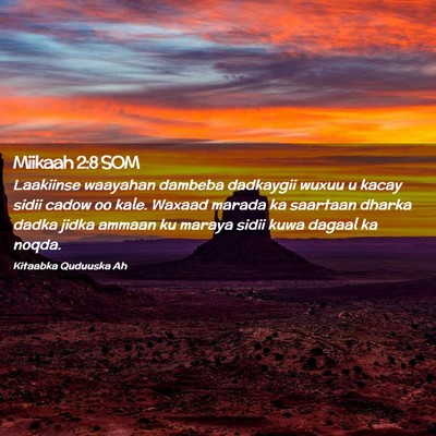 Picture 02 - Miikaah 2:8 SOM - Laakiinse waayahan dambeba dadkaygii wuxuu u - Bible Verse Picture