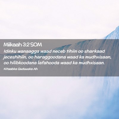 Picture 02 - Miikaah 3:2 SOM - Idinku wanaagga waad neceb tihiin oo sharkaad - Bible Verse Picture