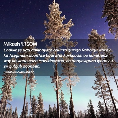 Picture 02 - Miikaah 4:1 SOM - Laakiinse ugu dambaysta buurta guriga Rabbigu - Bible Verse Picture