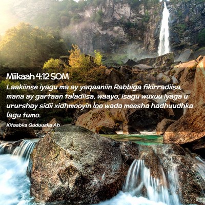 Picture 02 - Miikaah 4:12 SOM - Laakiinse iyagu ma ay yaqaaniin Rabbiga - Bible Verse Picture
