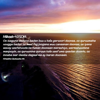 Picture 02 - Miikaah 4:3 SOM - Oo isaguna dadyow badan buu u kala garsoori - Bible Verse Picture