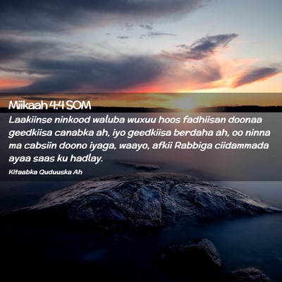 Picture 02 - Miikaah 4:4 SOM - Laakiinse ninkood waluba wuxuu hoos fadhiisan - Bible Verse Picture