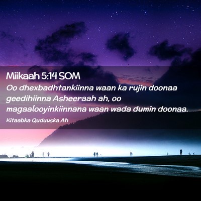Picture 02 - Miikaah 5:14 SOM - Oo dhexbadhtankiinna waan ka rujin doonaa - Bible Verse Picture