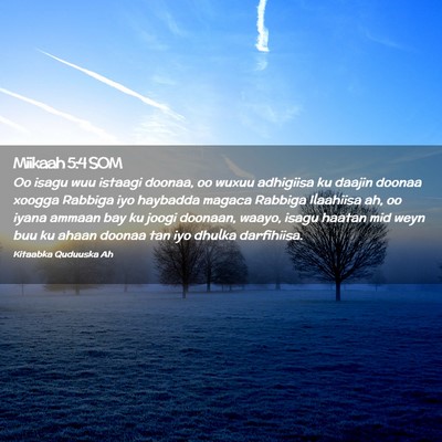 Picture 02 - Miikaah 5:4 SOM - Oo isagu wuu istaagi doonaa, oo wuxuu adhigiisa - Bible Verse Picture