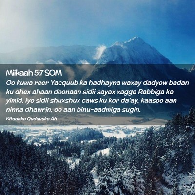 Picture 02 - Miikaah 5:7 SOM - Oo kuwa reer Yacquub ka hadhayna waxay dadyow - Bible Verse Picture