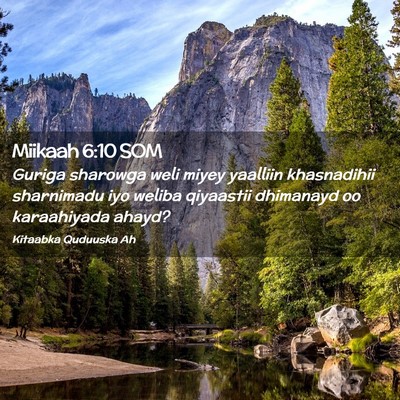 Picture 02 - Miikaah 6:10 SOM - Guriga sharowga weli miyey yaalliin khasnadihii - Bible Verse Picture
