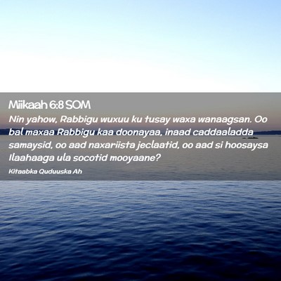 Picture 02 - Miikaah 6:8 SOM - Nin yahow, Rabbigu wuxuu ku tusay waxa wanaagsan. - Bible Verse Picture